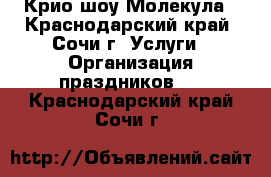 Крио шоу Молекула - Краснодарский край, Сочи г. Услуги » Организация праздников   . Краснодарский край,Сочи г.